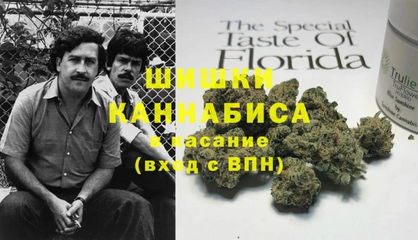 ECSTASY Заводоуковск